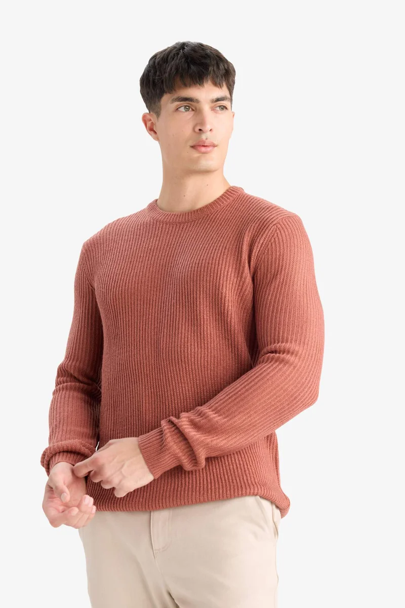 Defacto  Standard Fit Crew Neck Knitwear Pullover for Men | Best Price UAE