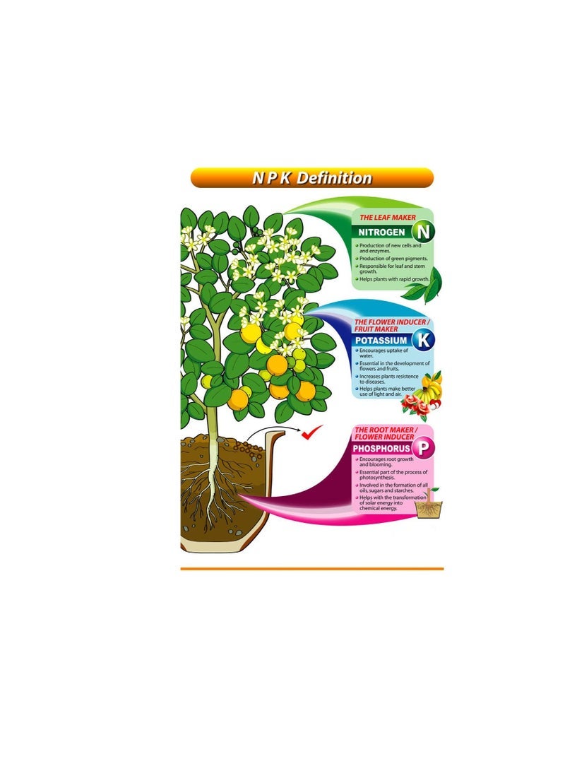 TJMR Desert Energy Water Soluble Fertilizers Combo Plant Root Shoot Fruit 2 KGS Urea 2.5 KGS Micronutrients 1 KG Fast Green Iron 1 KG for Outdoor & Indoor Plants - Image 3