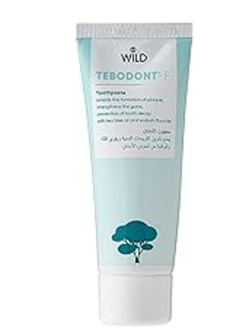 Tebodont F Toothpaste 75ml