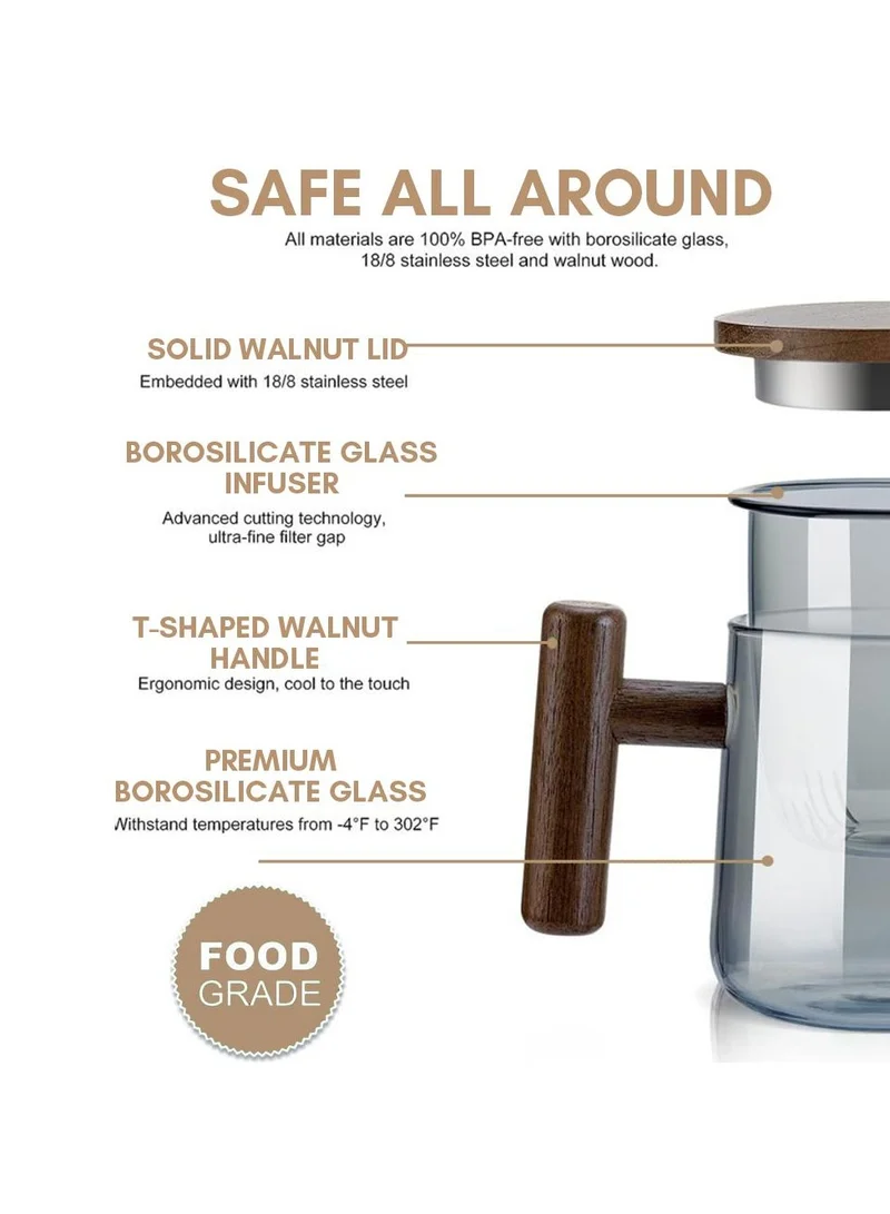 Quesera  Quesera Thick Heat-resistant High Borosilicate Glass Teacup with Infuser and Wooden Handle, Capacity: 300ML  | Best Price UAE