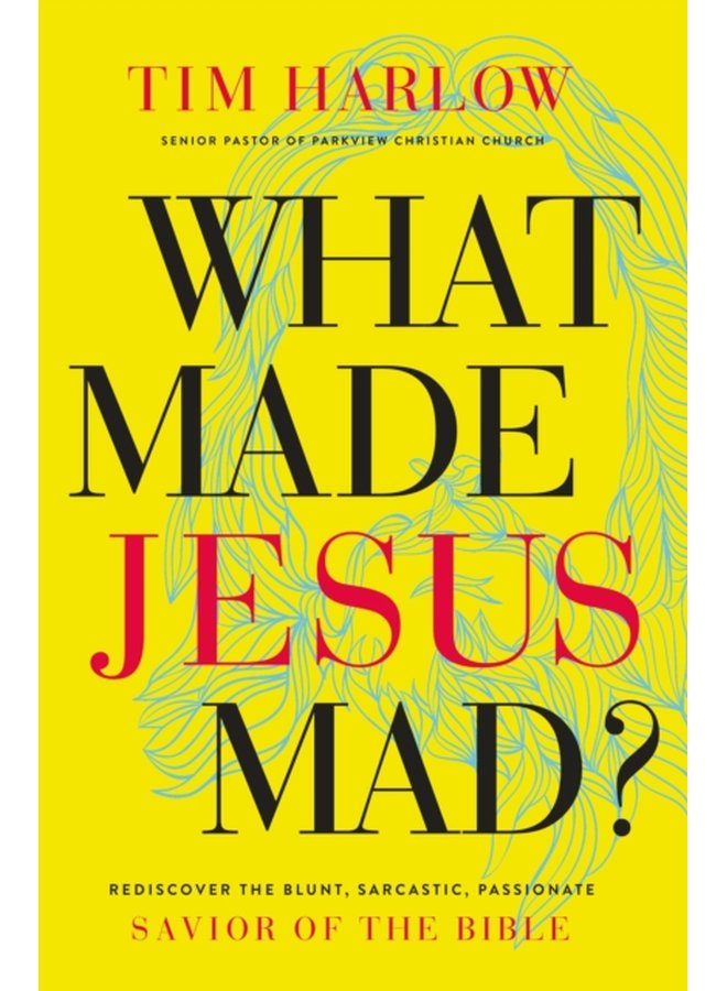 What Made Jesus Mad Rediscover the Blunt Sarcastic Passionate Savior of the Bible - Paperback
