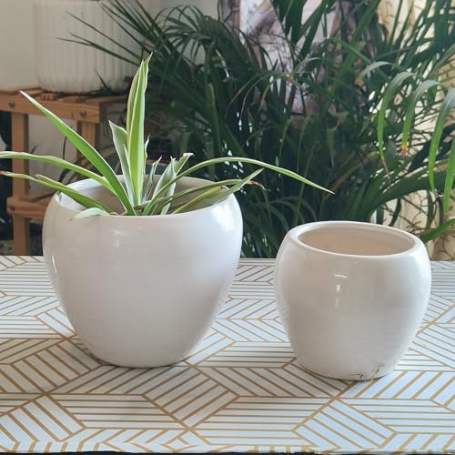 Niyara Ceramic Combo planters Pot for Home Garden Balcony Set of 2, Apple 6 & 4 inch (White Apple 6 & 4 inch) - Image 2