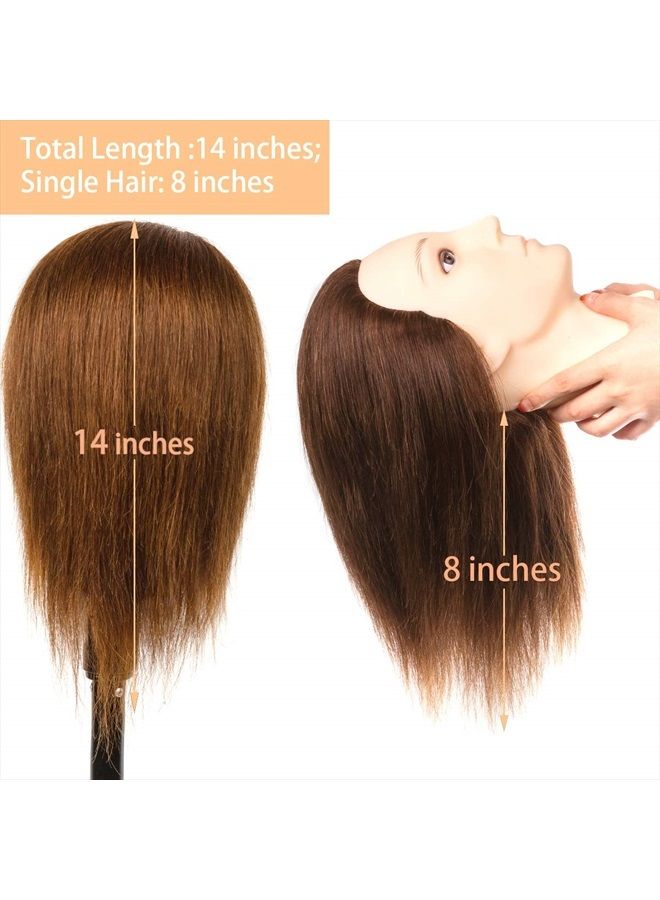 Stancia Mannequin Head, Male Mannequin Head with 100% Human Hair, 14" Barber Mannequin Head, Hairdresser Training Doll Manikin Head for Hair Styling and Practice (Dark Brown) - Image 2