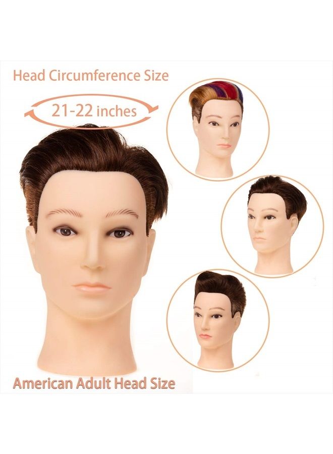 Stancia Mannequin Head, Male Mannequin Head with 100% Human Hair, 14" Barber Mannequin Head, Hairdresser Training Doll Manikin Head for Hair Styling and Practice (Dark Brown) - Image 3