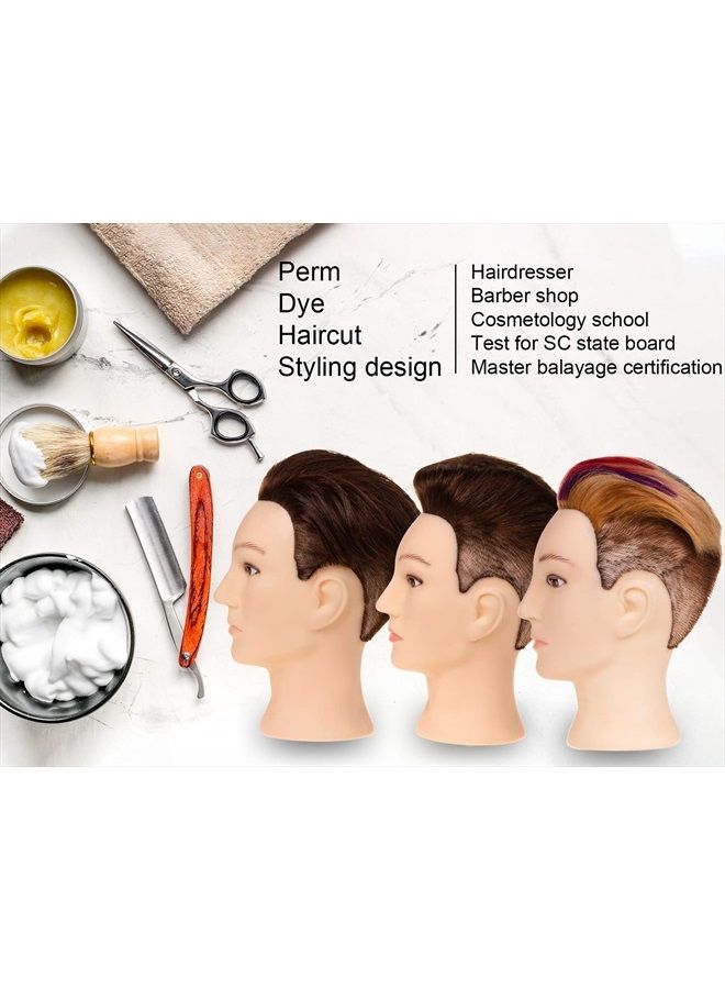 Stancia Mannequin Head, Male Mannequin Head with 100% Human Hair, 14" Barber Mannequin Head, Hairdresser Training Doll Manikin Head for Hair Styling and Practice (Dark Brown) - Image 4