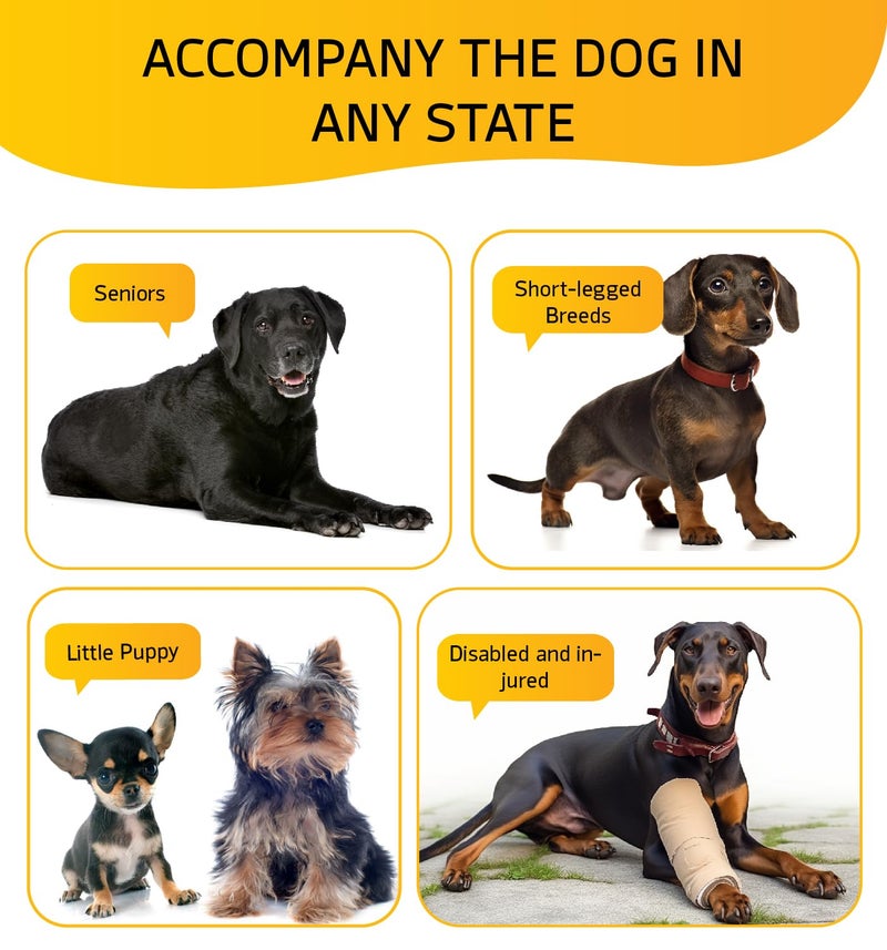 ABCPET Dog Stairs for Small Dog Steps for Bed Ramps Stairs Extra Wide Steps for Bed Foam Stairs for Couch Sofa 35D Strong Support Pet Stairs Non-Slip Bottom Pet Steps to Get on Bed, Grey, 3 Steps - Image 5