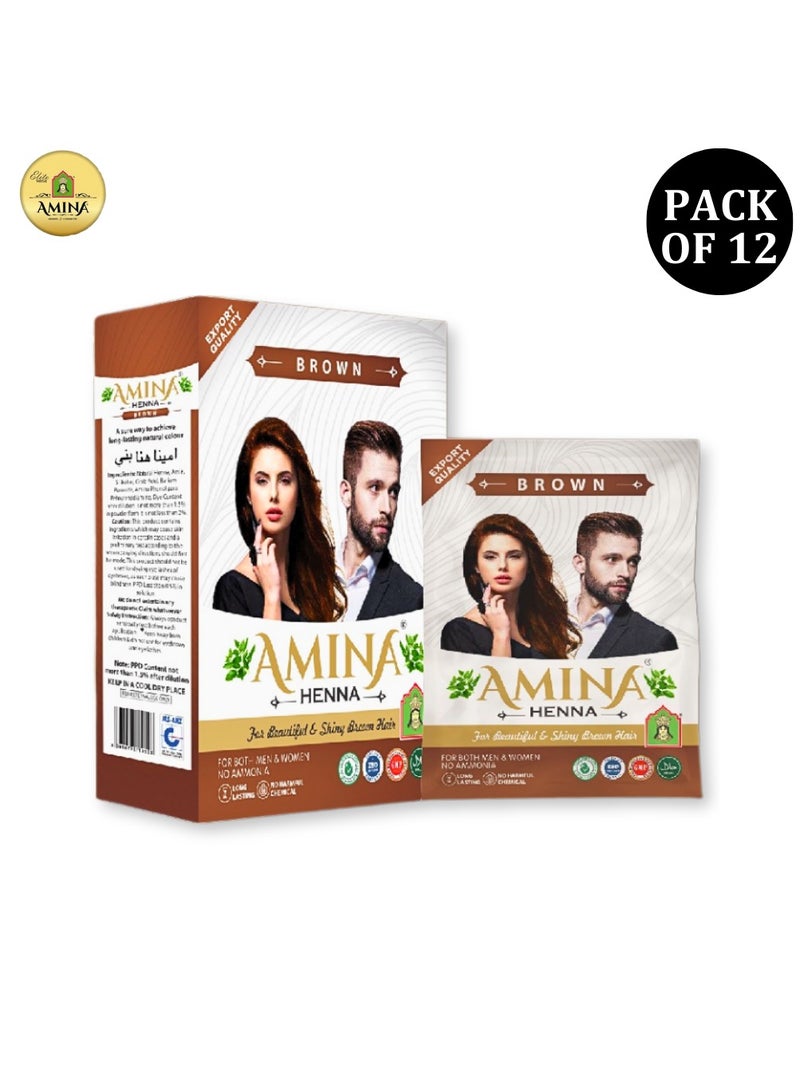 Amina Natural Brown Henna Powder For Hair Color, Natural Brown Hair, Herbal Conditioning Hair Dye for Silky & Shiny Soft Hair Colour for Men & Women (10 Gms x Pack Of 12) - Image 3