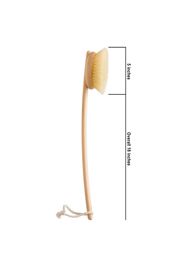 REDECKER 100% Made In Germany Round Tampico Fiber Bath Brush With Extralong Oiled Beechwood Handle 1812Inches  - Image 3
