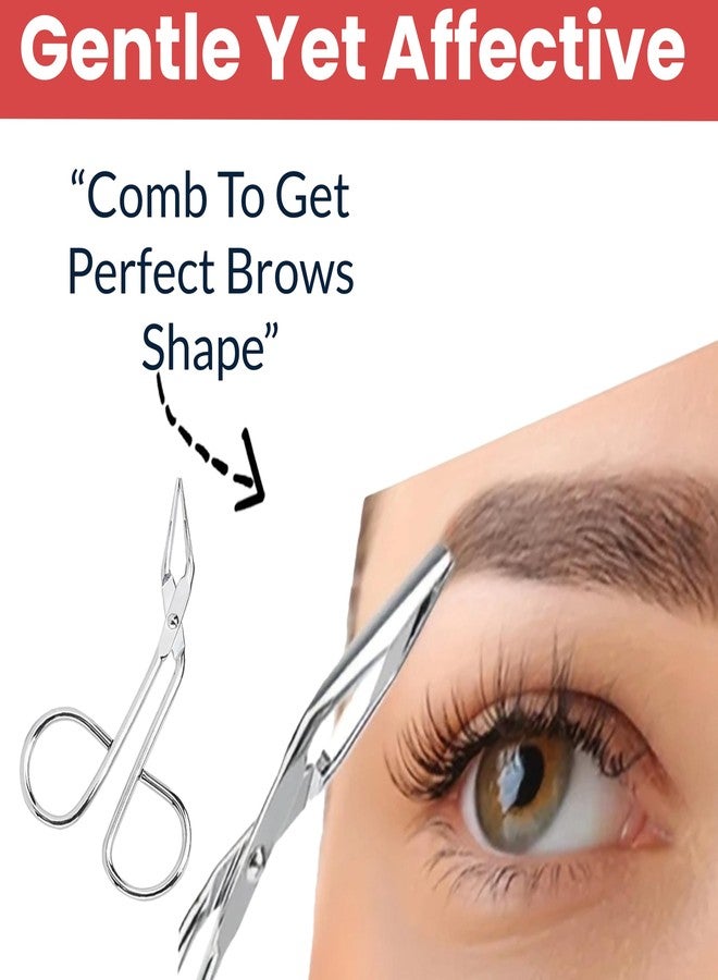 تيمبيريا ملقط الحواجب من تمبريا (قطعة واحدة) لإزالة الشعر - أداة نتف الحواجب والشعر النامي تحت الجلد وشعر الوجه - ملقط لتشكيل الحواجب للنساء والرجال - أدوات العناية بالحواجب (MN03) (HS593) - Image 3
