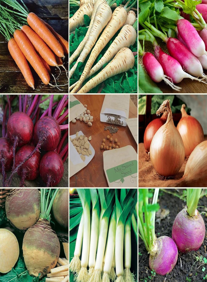 GGOOT Root Vegetable Seeds Multi-Pack - 8 Different Varieties Root Vegetables Seed Kit for Winter Growing - Image 1