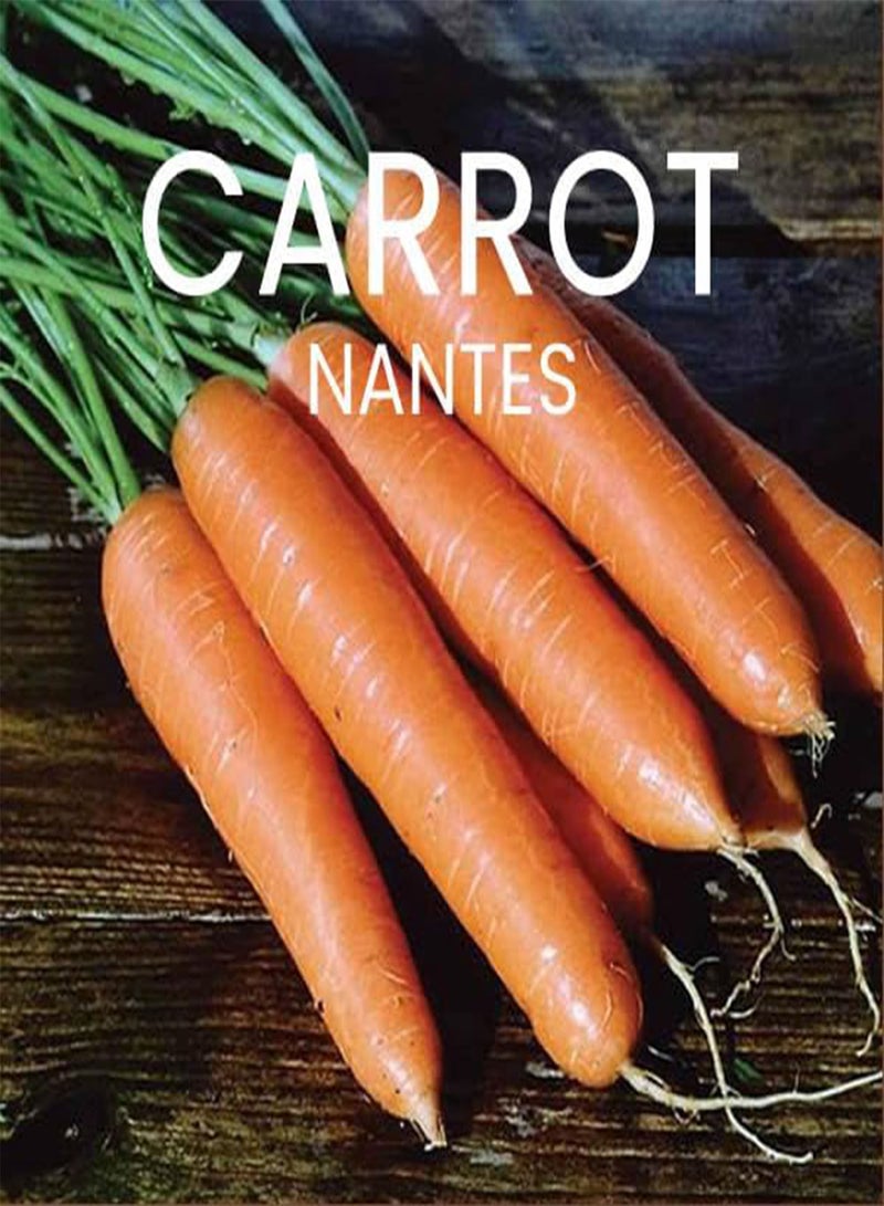 GGOOT Root Vegetable Seeds Multi-Pack - 8 Different Varieties Root Vegetables Seed Kit for Winter Growing - Image 2