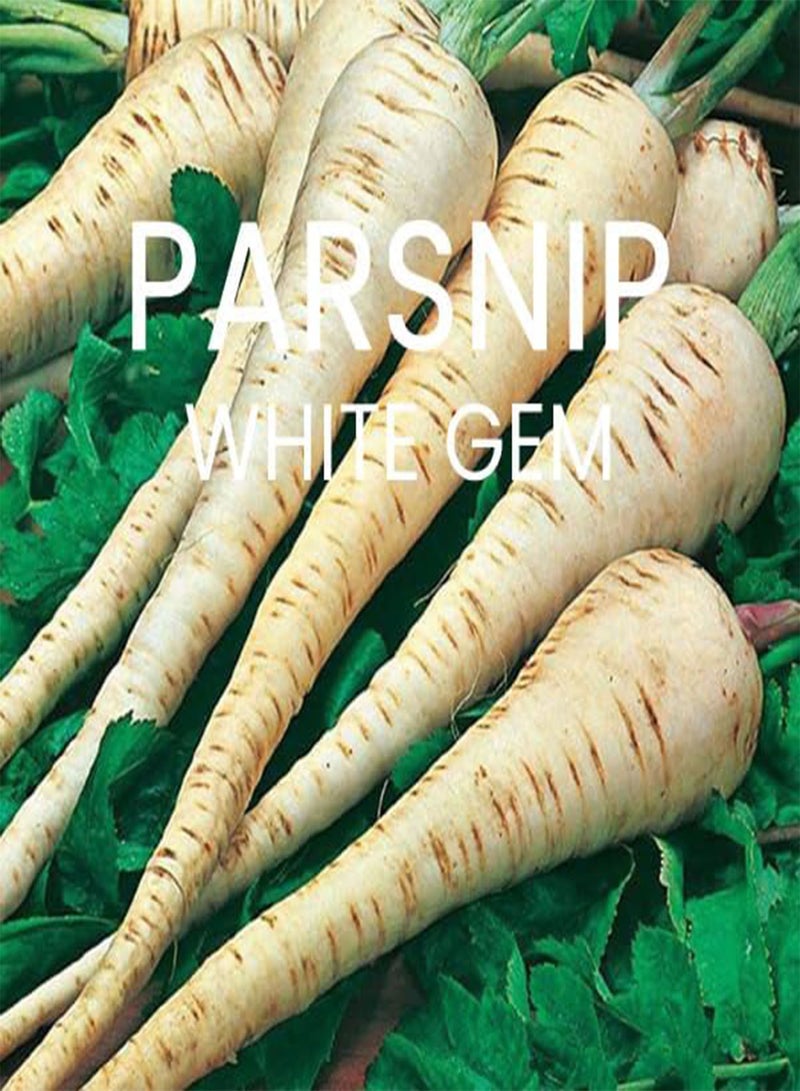 GGOOT Root Vegetable Seeds Multi-Pack - 8 Different Varieties Root Vegetables Seed Kit for Winter Growing - Image 3