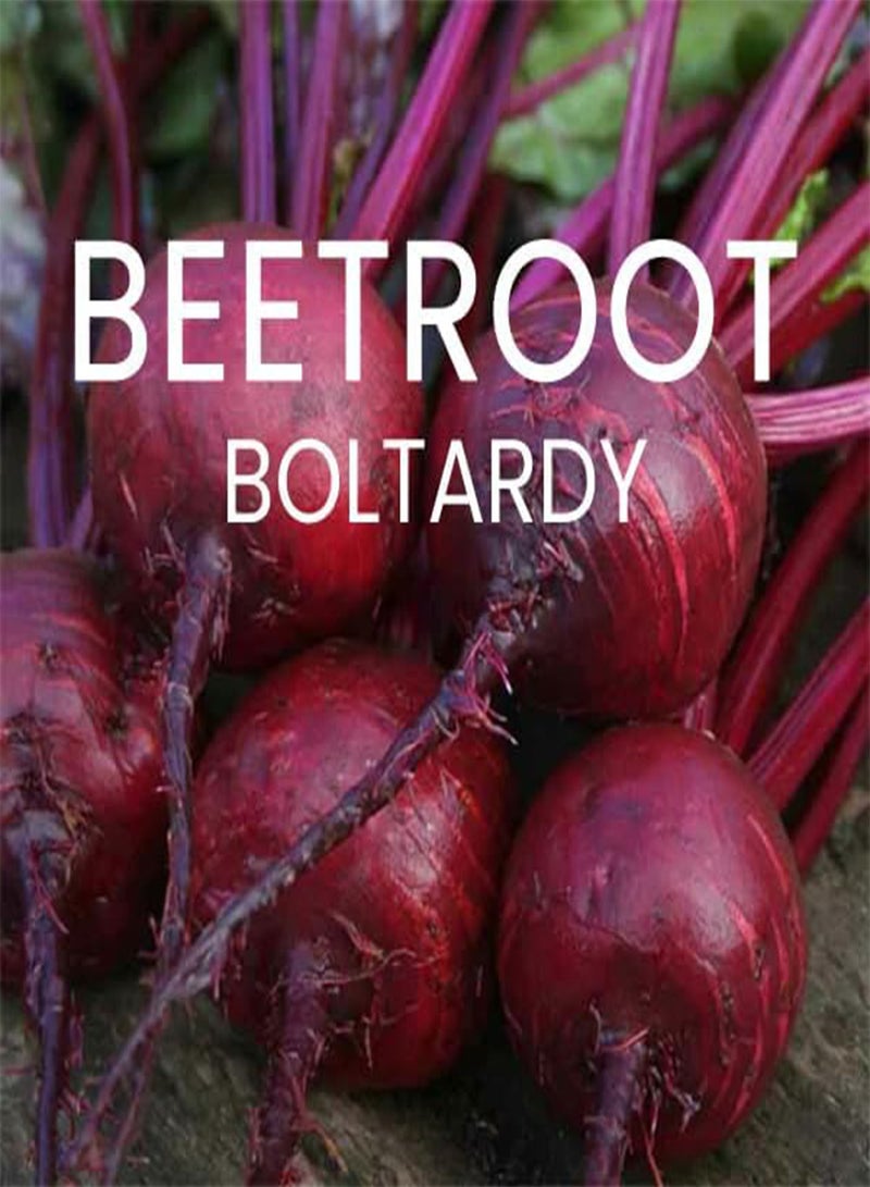 GGOOT Root Vegetable Seeds Multi-Pack - 8 Different Varieties Root Vegetables Seed Kit for Winter Growing - Image 5