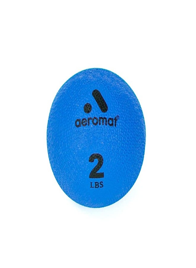 AEROMAT Versatile Textured Surface 3.5" Petite Weighted Ball for Yoga/Pilates Practice, 2 lbs, Blue - Image 1