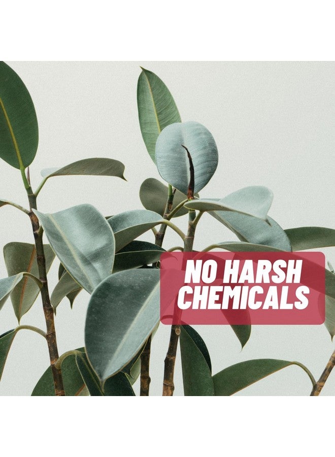 Acnetame 4 Pack- Vitamin Supplements for Acne Treatment- Hormonal Pimple Tablets to Clear Oily Skin for Women, Men, Teens, and Adults - Image 4