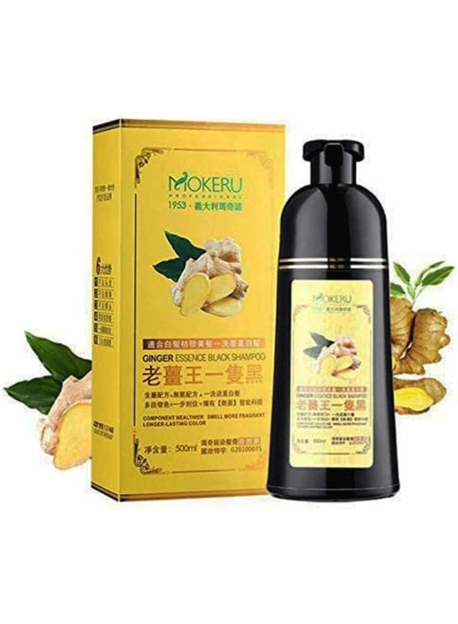Mokeru Hair Shampoo (Black) - Image 1