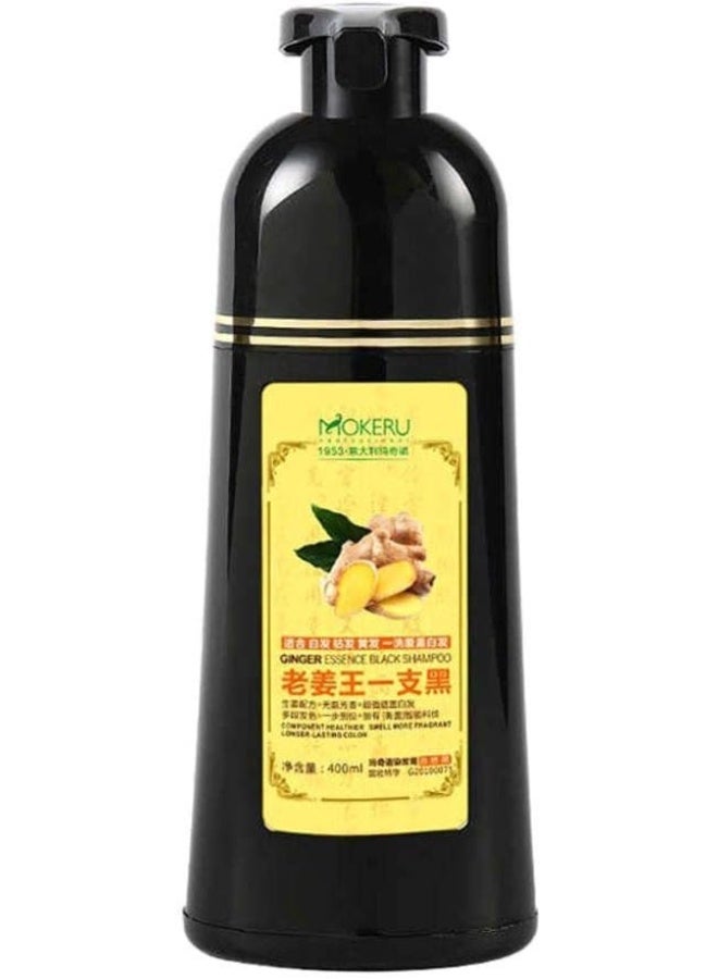 Mokeru Hair Shampoo (Black) - Image 2