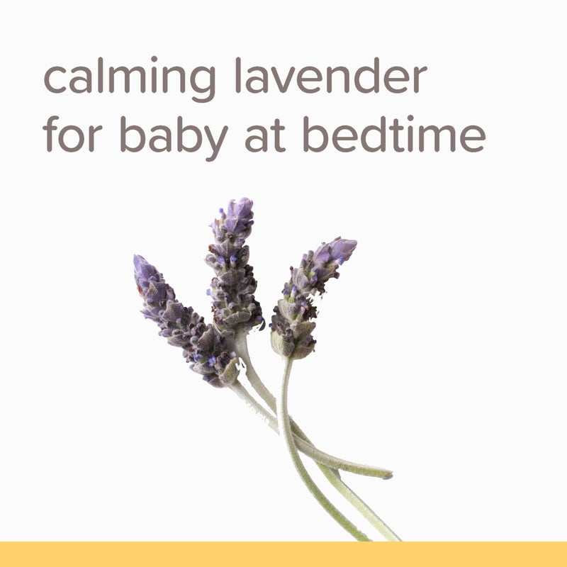 Burt's Bees Baby Calming Shampoo and Wash with Lavender, Tear-Free, 12 Fl Oz, Pack of 3 - Image 3