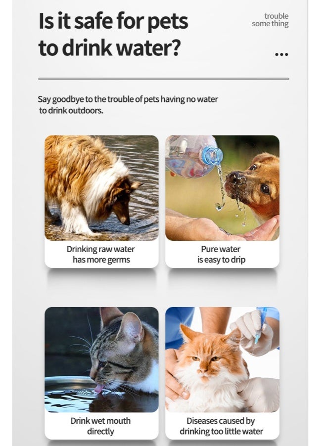 Pet Water Fountain, Automatic Circulating Cat Dog Water Dispenser, Electric Drinking Bowl with Filter & Constant Temperature - Image 3