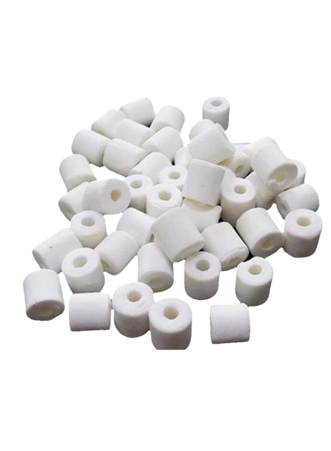 وسائط ترشيح حلقة سيراميك حيوية نشطة - (حلقة سيراميك - 500 جرام) لحوض السمك/خزان الأسماك | مسامية للغاية، تولد بكتيريا مفيدة | مناسبة للمياه المالحة والمياه العذبة - Image 1