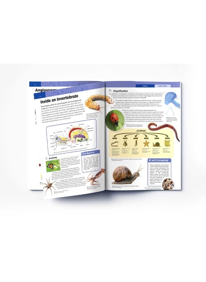 Science: Living Things  - Image 5