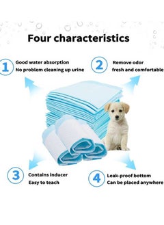 Urine Pads,Dog Training Pads,Dog Urine Pads,Size S(100pcs),M(50pcs),L(40pcs),xl(20pcs) - pzsku/Z0982C9758019B44E685EZ/45/_/1720427837/3ec2f70f-752e-4415-a66d-7dce1f5c0867