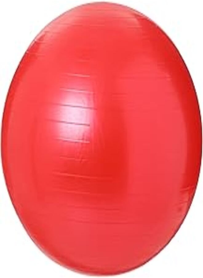 King Lion Gymnastic Ball Size 65cm With Blower Red - pzsku/Z0984B8DC4990112273B7Z/45/_/1722023358/e463de15-5e22-41cd-8dcd-c486a7cc5deb