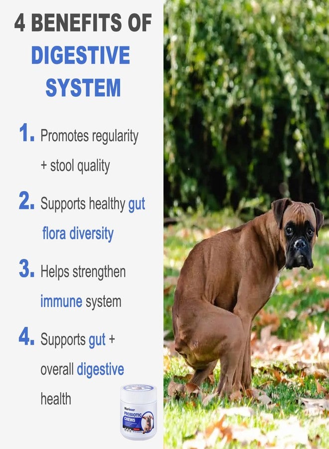 MARIMER Probiotic Chews for Dogs - Chicken Flavor, 100 Soft Chews, with 6 Billion CFU Probiotics, Enzymes, Organic Pumpkin & Inulin - Digestive & Immune Support for Dogs - Image 2