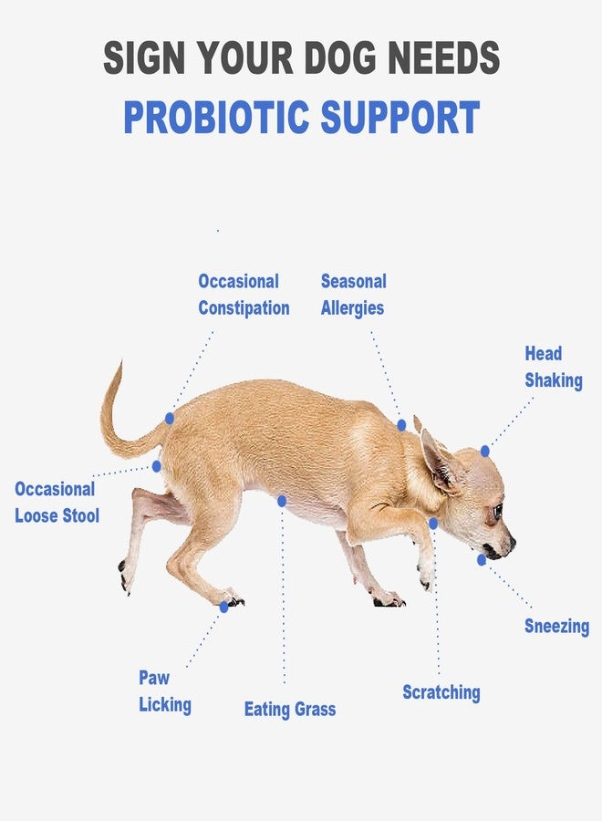 MARIMER Probiotic Chews for Dogs - Chicken Flavor, 100 Soft Chews, with 6 Billion CFU Probiotics, Enzymes, Organic Pumpkin & Inulin - Digestive & Immune Support for Dogs - Image 4