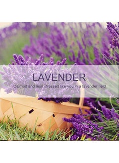 erorex Lavender Sachet 1 Box 12Pcs Cartoon Design Sachet Scent Drawer Freshener Car Fragrance Pendant Lasting Fragrance Deodorizer Freshener For Drawers And Closets Home Car Fragrance Product  - Image 2