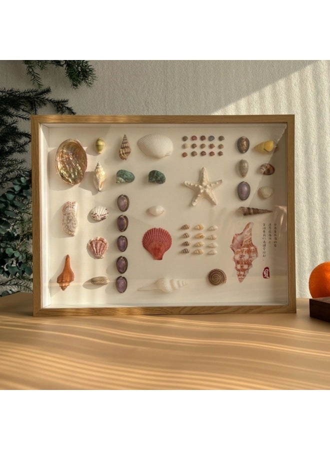 Wengkai Shell Three-dimensional Hollow Photo Frame Specimen Frame Diy Table Plant Clay Dried Flower Display Frame Frame Wooden-Colour:8inch [inner Diameter 15*20cm] - Log Color [hollow 5cm] Horizontal And Vertical Table