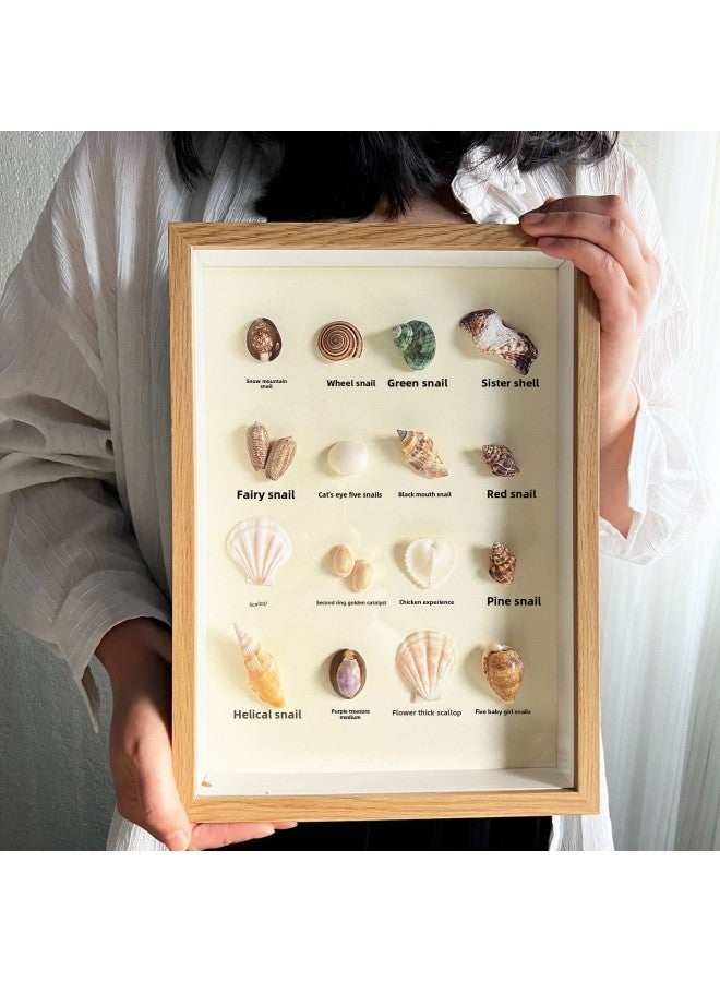 Wengkai Shell Three-dimensional Hollow Photo Frame Specimen Frame Diy Table Plant Clay Dried Flower Display Frame Frame Wooden-Colour:8inch [inner Diameter 15*20cm] - Log Color [hollow 5cm] Horizontal And Vertical Table