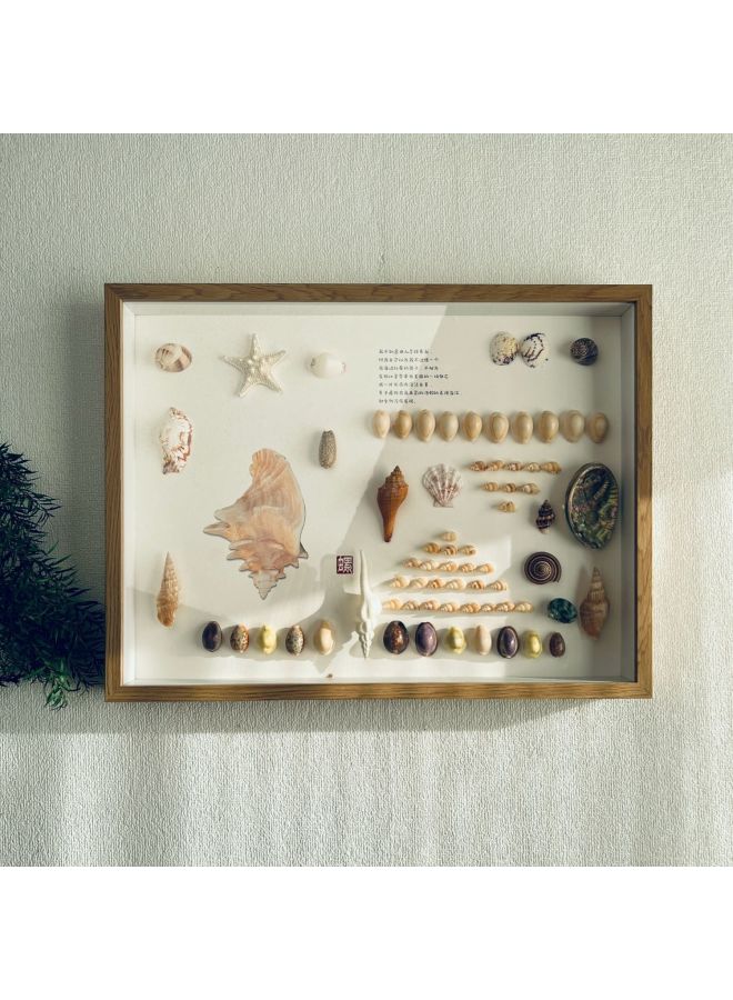Wengkai Shell Three-dimensional Hollow Photo Frame Specimen Frame Diy Table Plant Clay Dried Flower Display Frame Frame Wooden-Colour:8inch [inner Diameter 15*20cm] - Log Color [hollow 5cm] Horizontal And Vertical Table