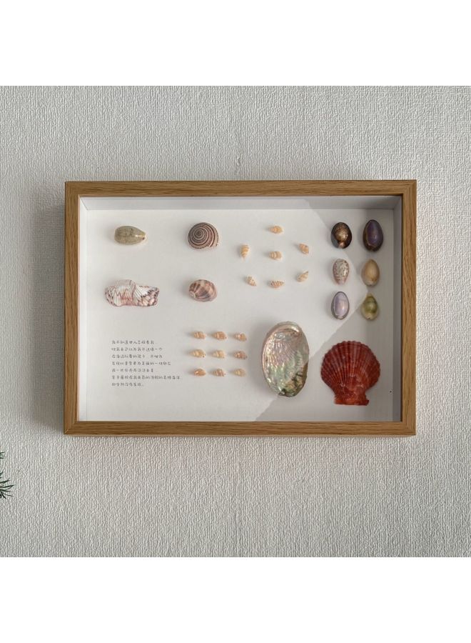 Wengkai Shell Three-dimensional Hollow Photo Frame Specimen Frame Diy Table Plant Clay Dried Flower Display Frame Frame Wooden-Colour:8inch [inner Diameter 15*20cm] - Log Color [hollow 5cm] Horizontal And Vertical Table