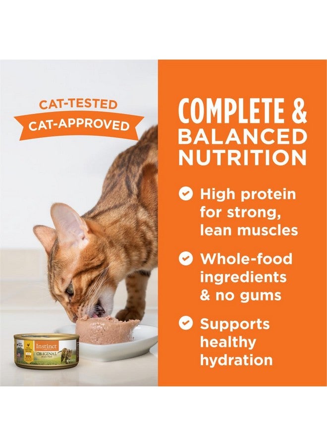 غريزة طعام القطط الرطب الأصلي "إنستينكت" باتيه، خالي من الحبوب - عبوة متنوعة، علب ٥٫٥ أونصة (عبوة من ١٢ علبة) - Image 5