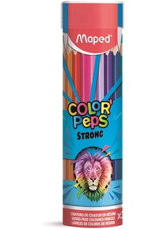 Strong Cylinder Color Pencils 36 Pack - pzsku/Z0989E9F2DD9CBD2F120FZ/45/_/1740917129/9c37c9e0-d70f-4eef-835b-3a3a7db6b97a