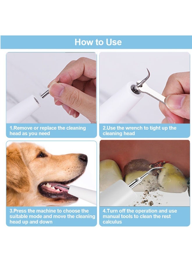 QIBANG Ultrasonic Dental Scaler | Electric Sonic Teeth Plaque Cleaner & Tartar Remover | Replaceable Clean Heads for Safe Tooth Calculus Removal - Image 5