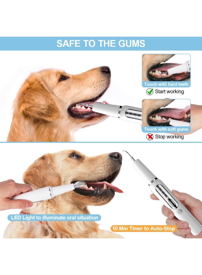 QIBANG Ultrasonic Dental Scaler | Electric Sonic Teeth Plaque Cleaner & Tartar Remover | Replaceable Clean Heads for Safe Tooth Calculus Removal - Image 2