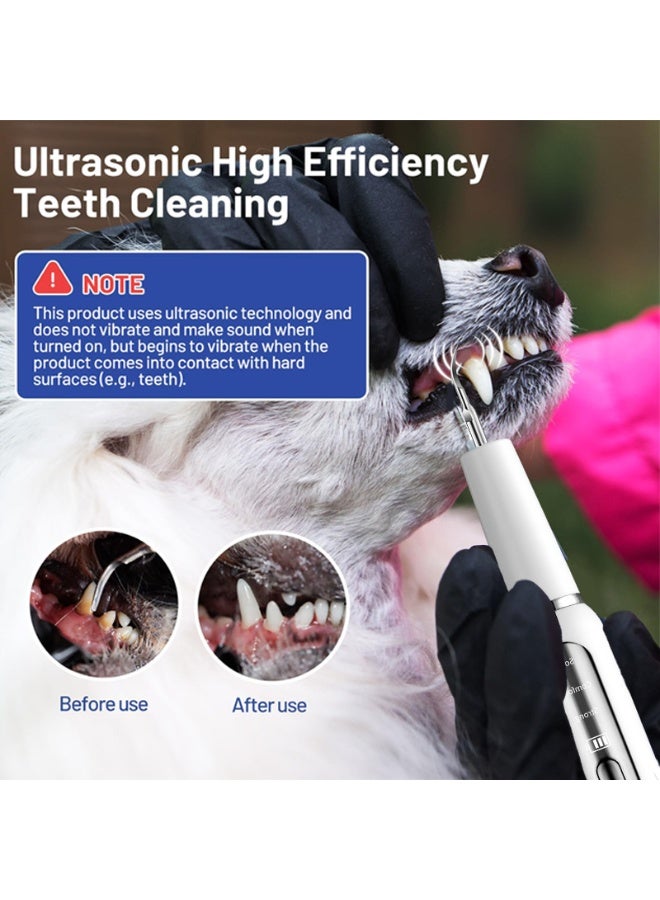 QIBANG Ultrasonic Dental Scaler | Electric Sonic Teeth Plaque Cleaner & Tartar Remover | Replaceable Clean Heads for Safe Tooth Calculus Removal - Image 3