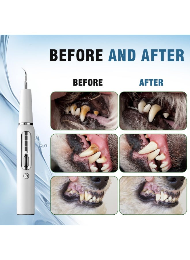 QIBANG Ultrasonic Dental Scaler | Electric Sonic Teeth Plaque Cleaner & Tartar Remover | Replaceable Clean Heads for Safe Tooth Calculus Removal - Image 4