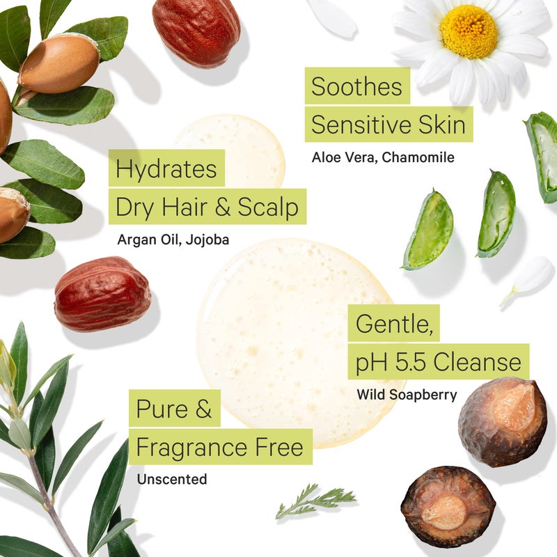 Tree to Tub Fragrance Free Shampoo for Dry & Sensitive Scalp - Gentle Unscented Hydrating Hair Shampoo for Women & Men, Moisturizing Sulfate Free Shampoo w/Organic Argan Oil, All Natural Soapberry - Image 3