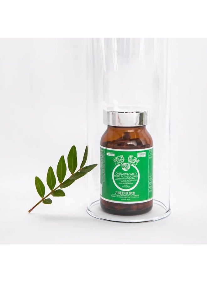 Japan Okinawa Wild Herbs Active enzymes - Image 3