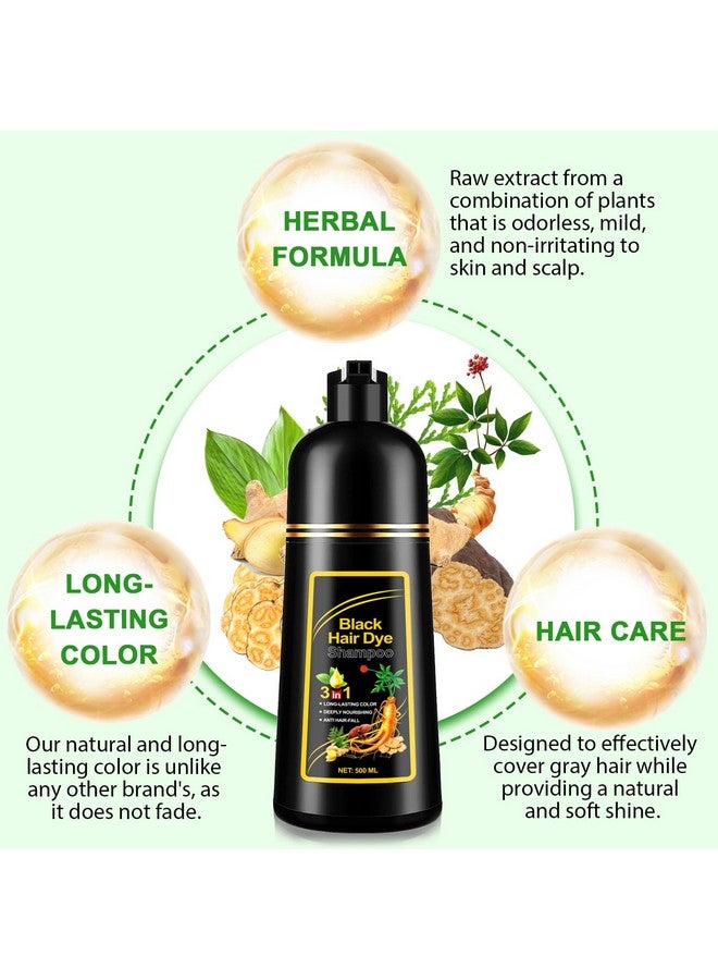 ALIVER Hair Dye Shampoo(Black) Natural Hair Dye Shampoo 3In 1 Hair Dyeing+Nourishing+Growing 500Ml Harmless Hair Care Herbal Essences For Hair And Scalp Hypoallergenic Hair Dye Shampoo - Image 2