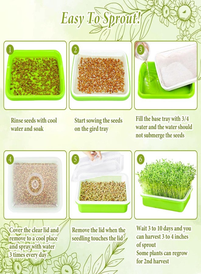 Legigo 8 Pack Seed Sprouter Trays with Lids- Soil-Free Cultivation Germination Tray, BPA Free Micro Greens Growing Trays Seed Sprouting Trays Kit with Germinating Paper for Wheatgrass, Beans and More - Image 5