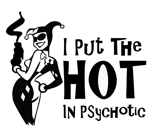 MAZ DISTRIBUTIONS I Put the Hot in Psychotic Sticker Vinyl Hot Girl Decal for Laptop Removable Waterproof Sticker for Waterbottle Indoor and Outdoor Easy use for Car Van and Bag MAZ331 - Image 1