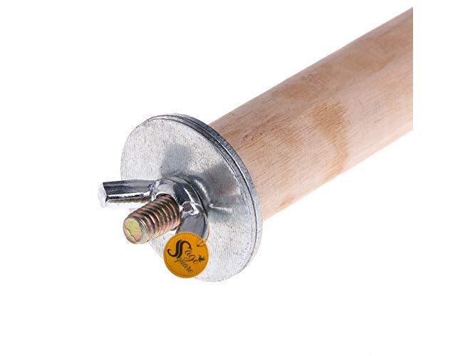 Sage Square منصة خشبية من موطن طبيعي مع مجموعة من 4 منصات خشبية/ألعاب للطيور (ببغاء/كوكاتيل/ببغاء أسترالي/هامستر/سنجاب) (خفيفة الوزن) (الأحجام - 4" 6" 8" 10" مجموعة مكونة من 4)  - Image 5