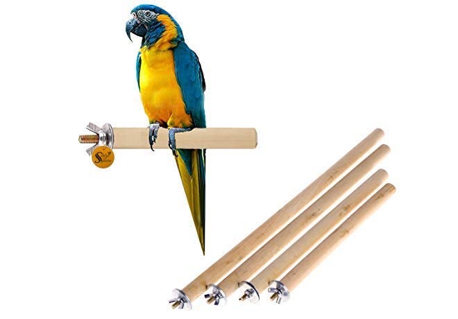 Sage Square منصة خشبية من موطن طبيعي مع مجموعة من 4 منصات خشبية/ألعاب للطيور (ببغاء/كوكاتيل/ببغاء أسترالي/هامستر/سنجاب) (خفيفة الوزن) (الأحجام - 4" 6" 8" 10" مجموعة مكونة من 4)  - Image 1