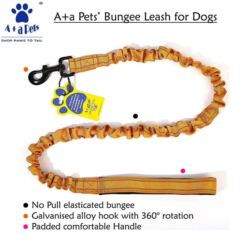 A+a Pets ’ Short Bungee Leash | Traffic Lead | for Training & Better Control (RRed) - Image 4