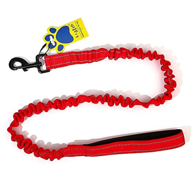 A+a Pets ’ Short Bungee Leash | Traffic Lead | for Training & Better Control (RRed) - Image 1