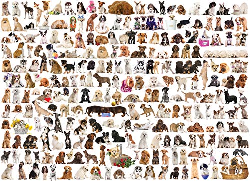 eurographics The World of Dogs - Image 5